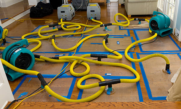 Professional Storm Water Damage Restoration technician working in Jenkintown, PA